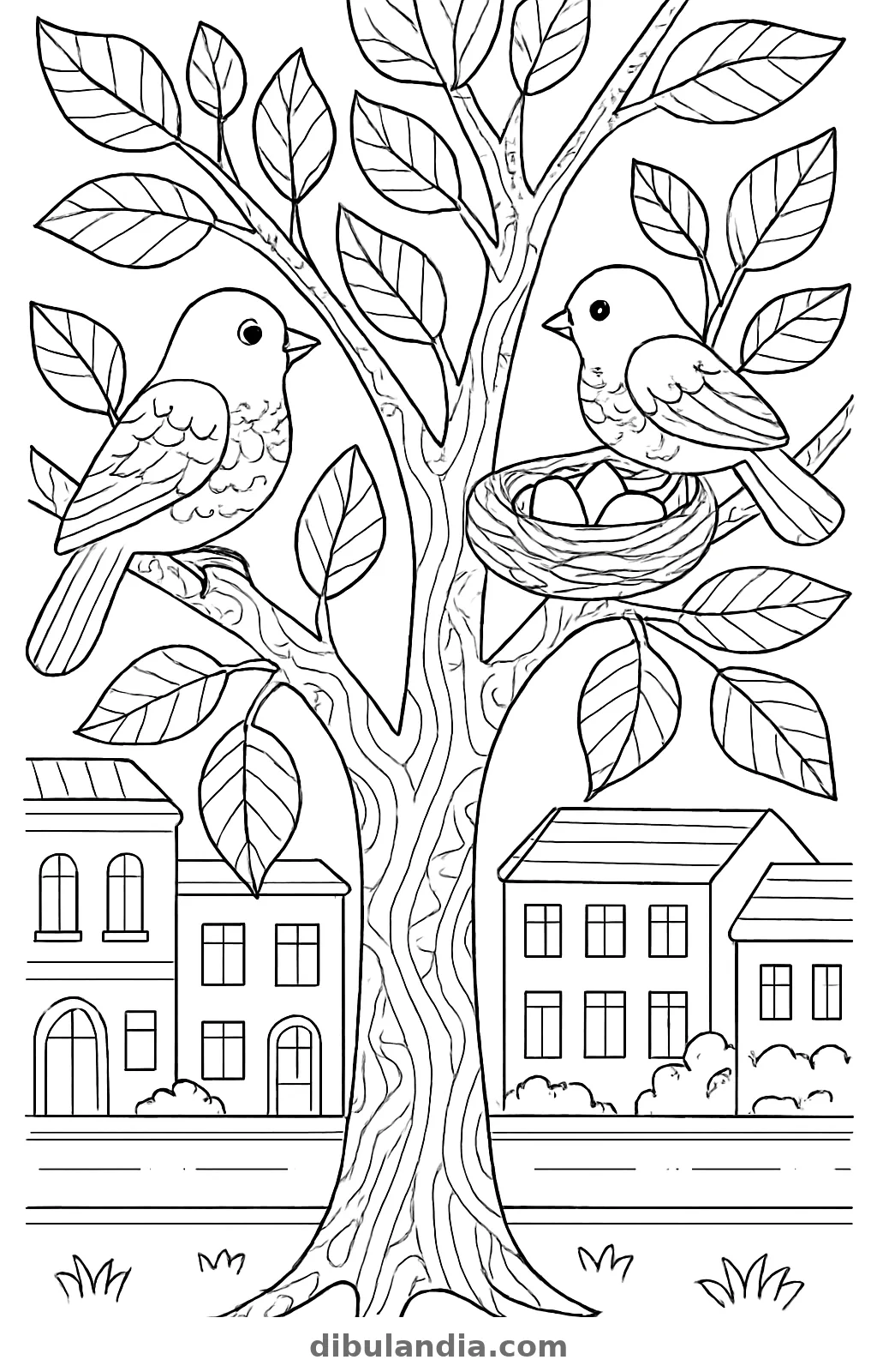 Árbol en una calle con dos pájaros en las ramas y un nido con huevos, dibujo para colorear
