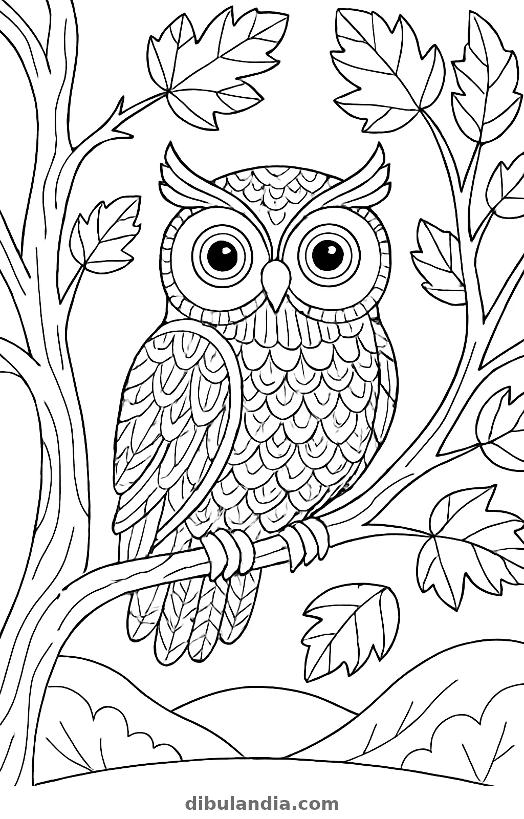 Búho en un árbol de otoño, dibujo en blanco y negro para colorear