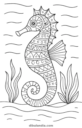 Caballito de mar, dibujo en blanco y negro para colorear