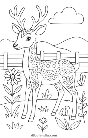 Ciervo, dibujo en blanco y negro para colorear