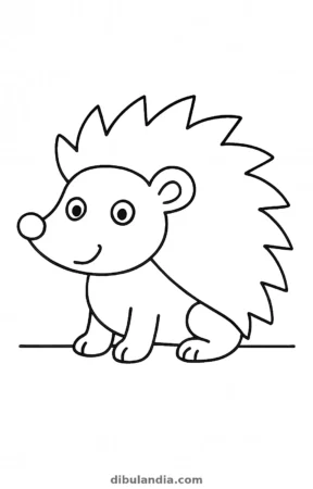 Erizo, dibujo en blanco y negro para colorear