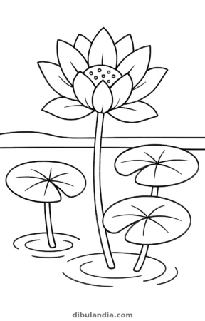 Flor de loto, dibujo en blanco y negro para colorear
