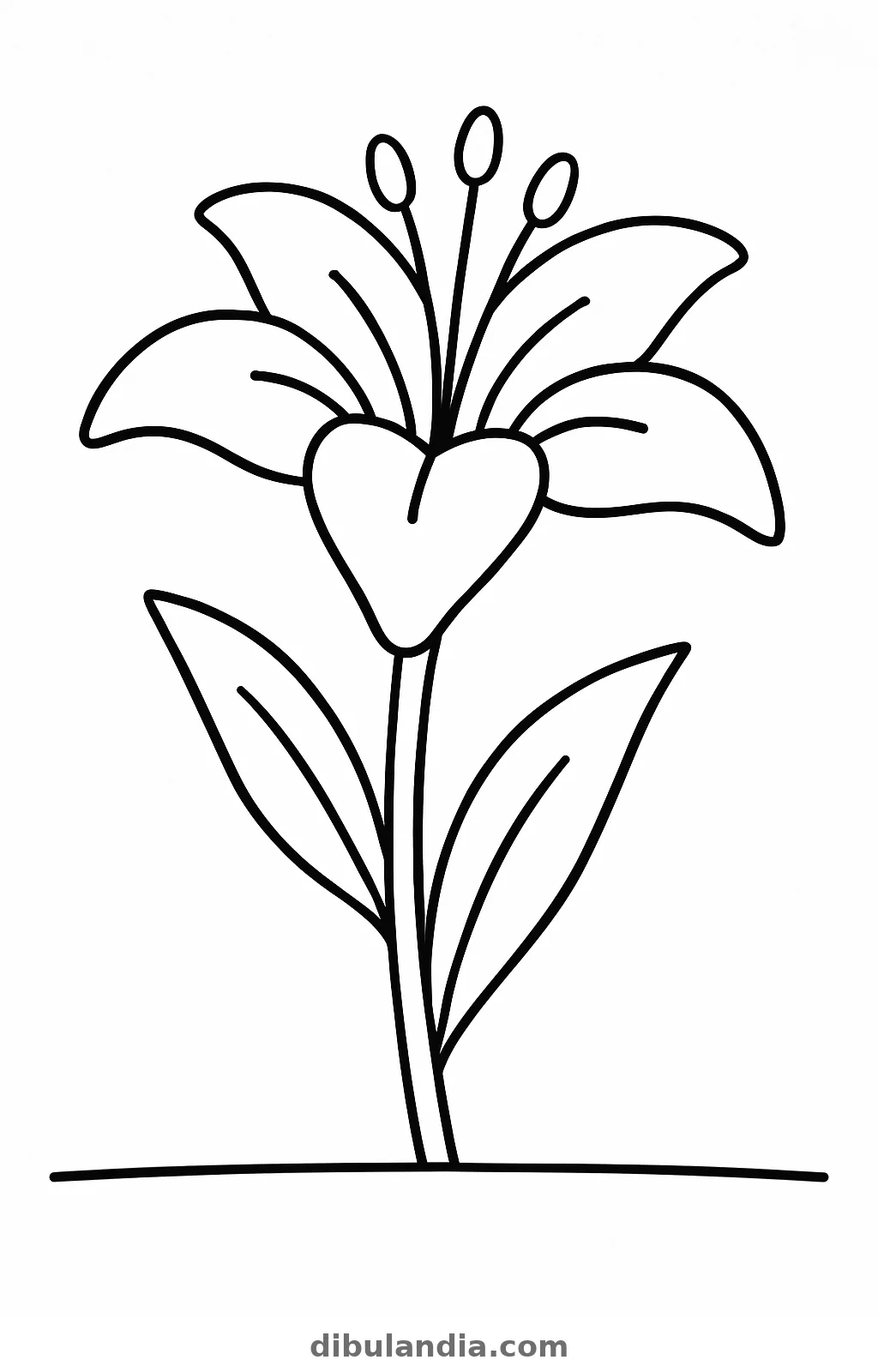 Lirio, dibujo en blanco y negro para colorear