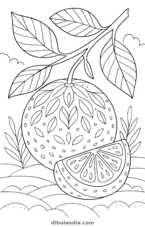 Naranja, dibujo en blanco y negro para colorear