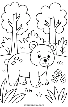 Oso pardo en el bosque, dibujo en blanco y negro para colorear