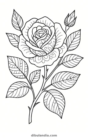 Rosa, dibujo en blanco y negro para colorear