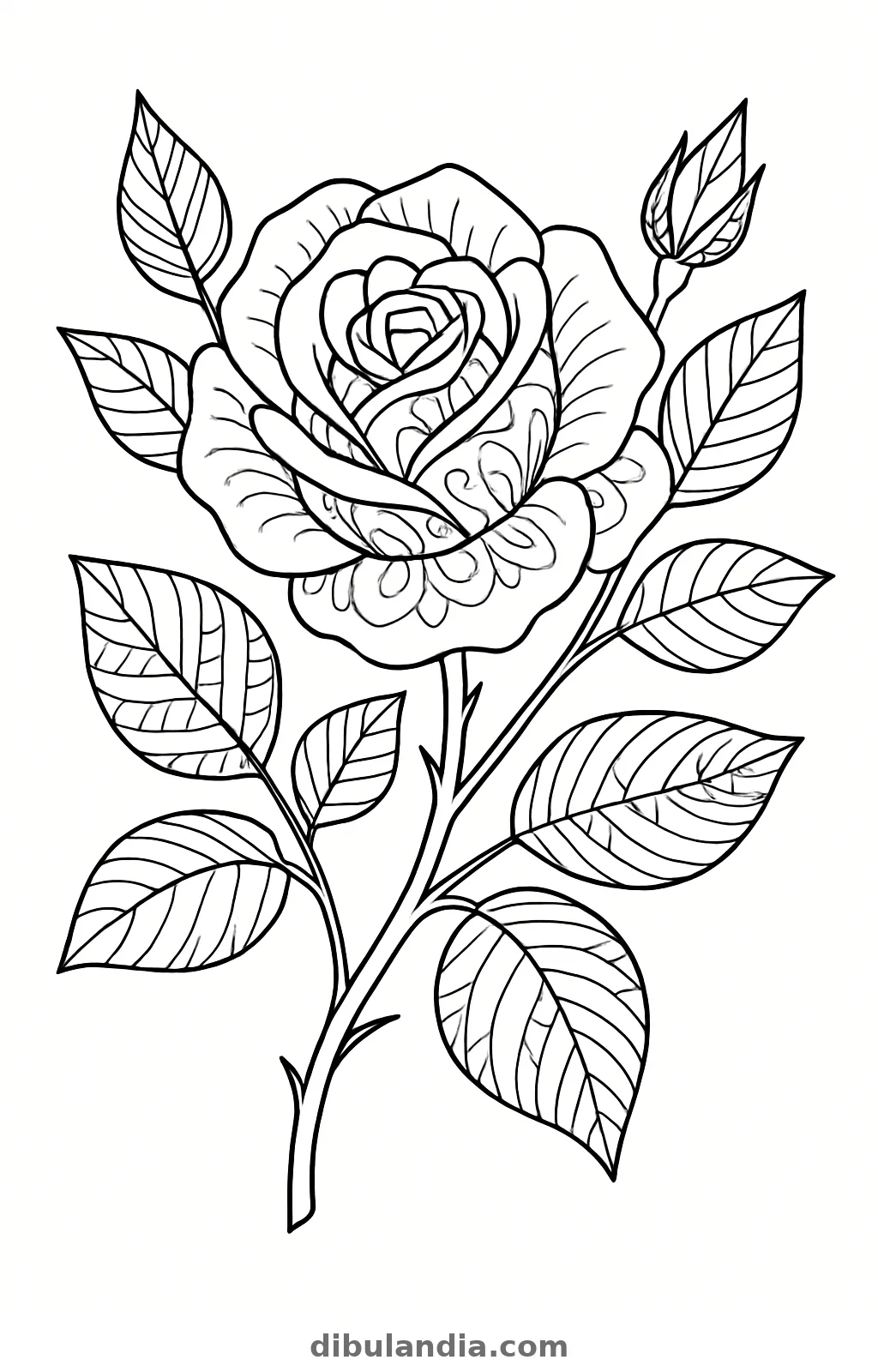 Rosa, dibujo en blanco y negro para colorear